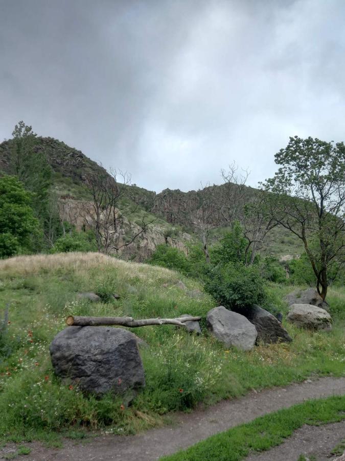 Сhachkari Bed & Breakfast Vardzia  Dış mekan fotoğraf