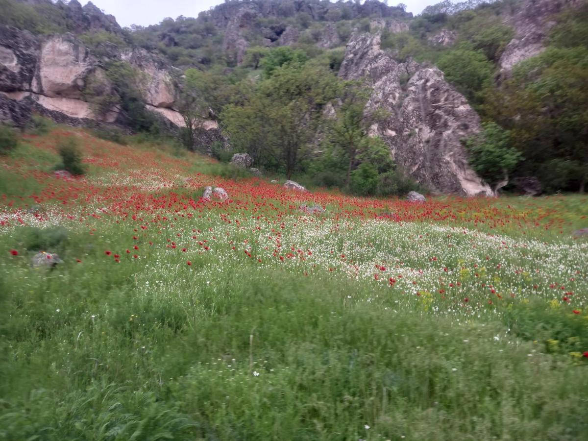 Сhachkari Bed & Breakfast Vardzia  Dış mekan fotoğraf