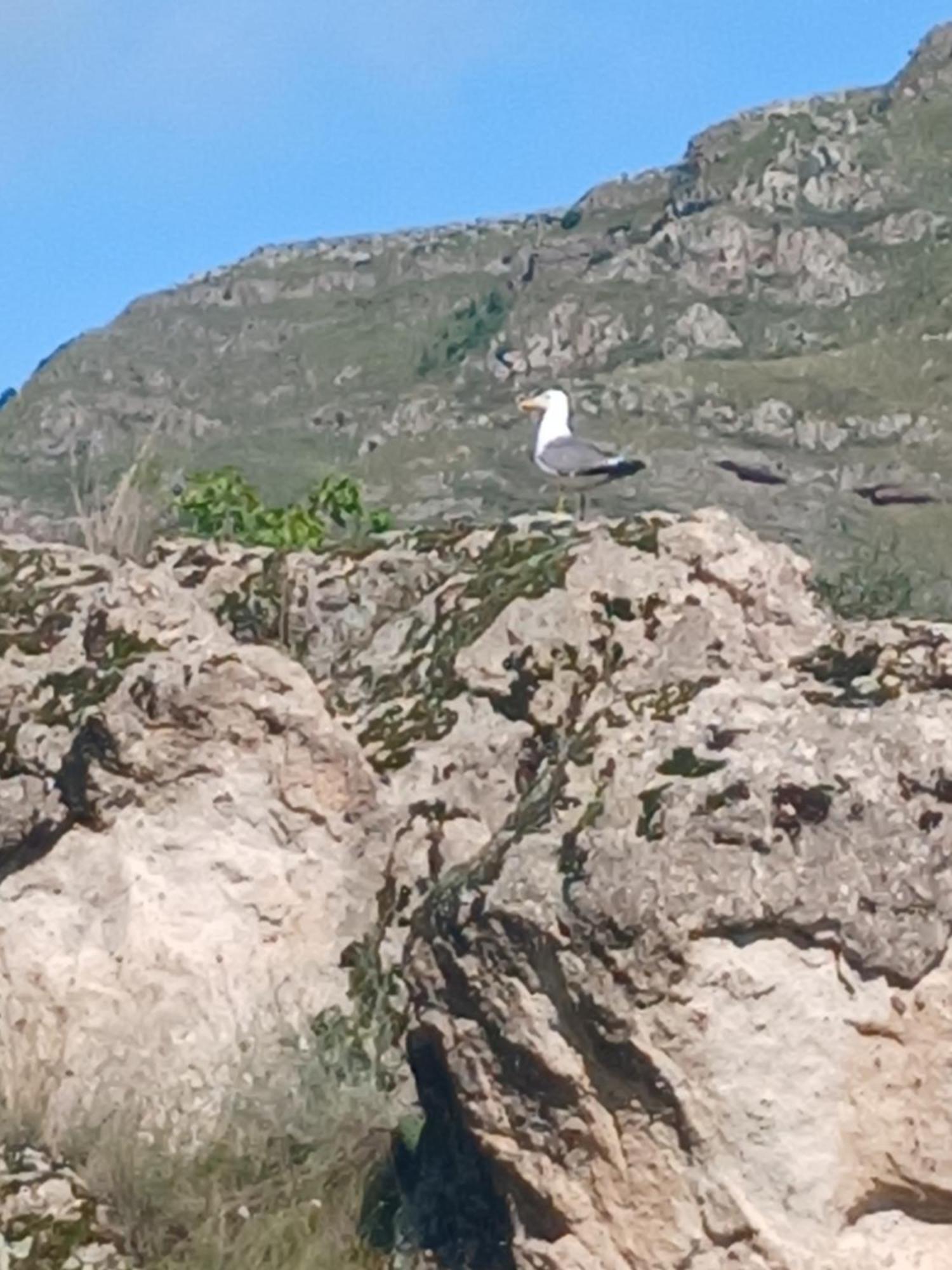 Vardzia Сhachkari Dış mekan fotoğraf